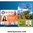 Cinta Datacard 534100-002-R004 color ymcKT - SD160 half panel - 650 impresiones